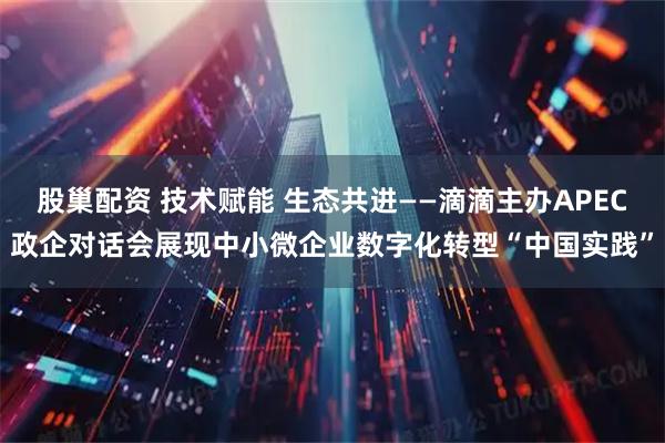 股巢配资 技术赋能 生态共进——滴滴主办APEC政企对话会展现中小微企业数字化转型“中国实践”
